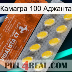 Камагра 100 Аджанта 42